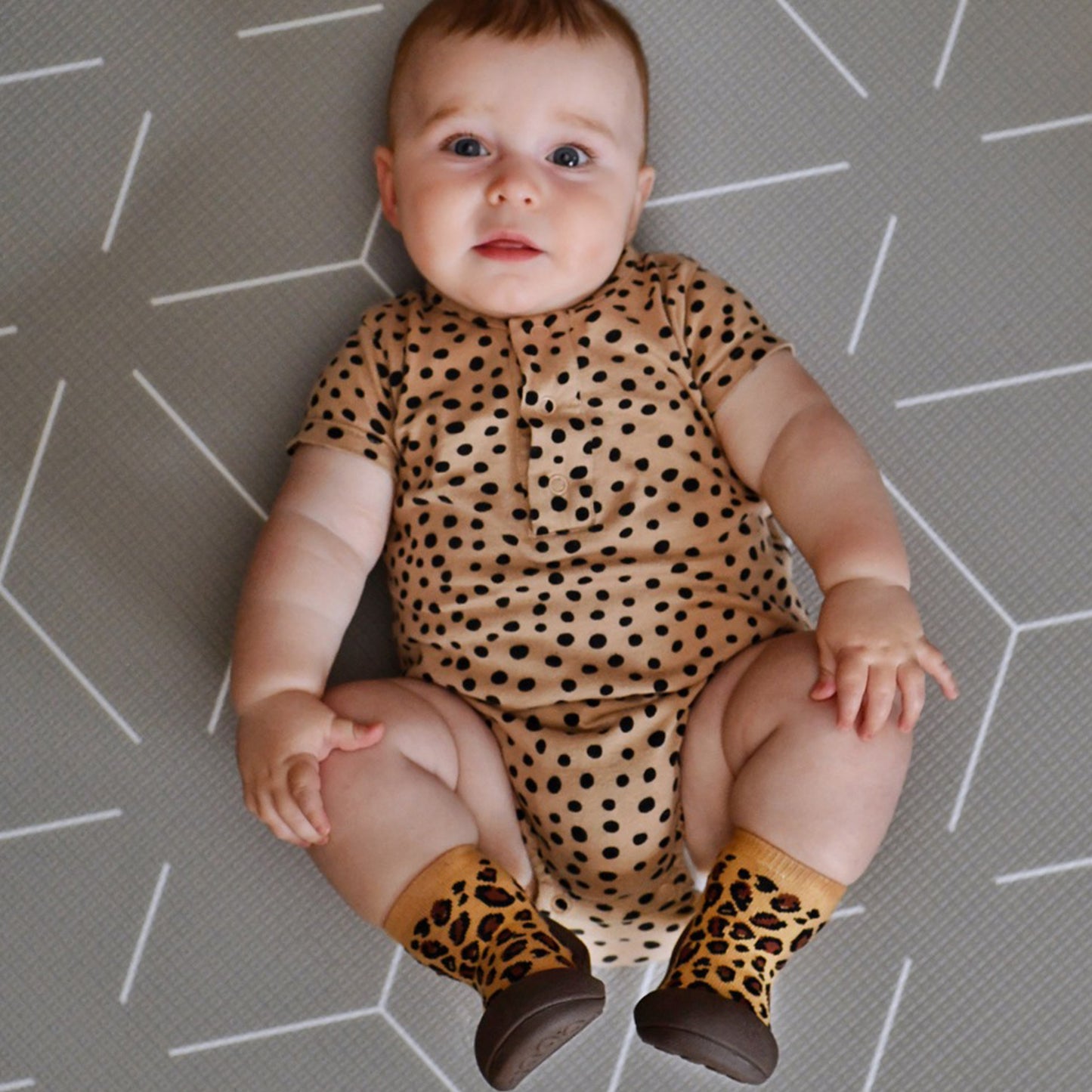 Animal Brown