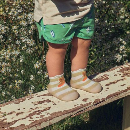 Surf Bear Olive
